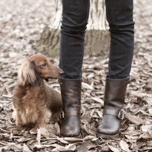 Frye Veronica Shortie in Rustic Black, sz 10